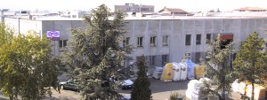 Foto Azienda Spila srl